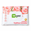 Toallitas húmedas TB Care (60 u)