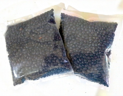 Frijol Negro (Libra)
